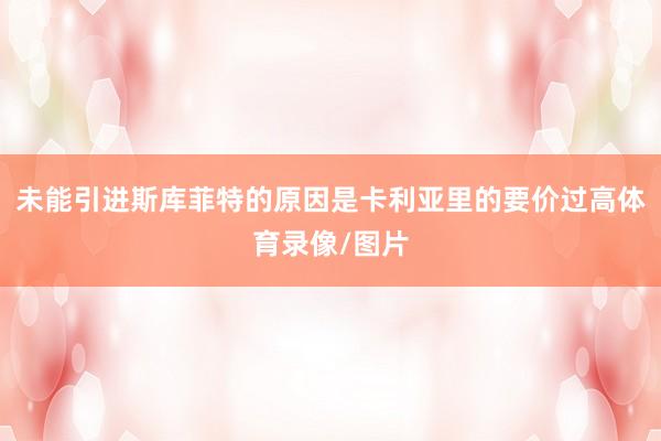 未能引进斯库菲特的原因是卡利亚里的要价过高体育录像/图片
