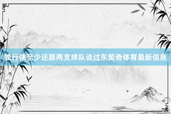 独行侠至少还跟两支球队谈过东契奇体育最新信息