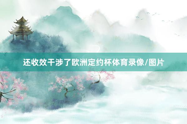 还收效干涉了欧洲定约杯体育录像/图片