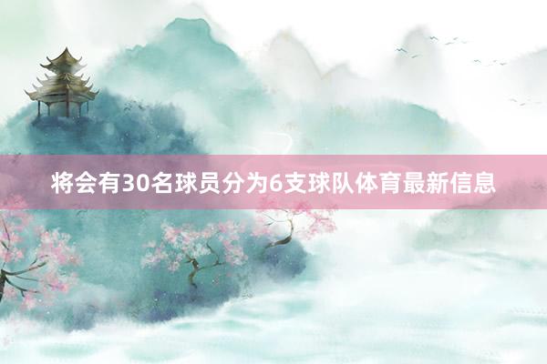 将会有30名球员分为6支球队体育最新信息