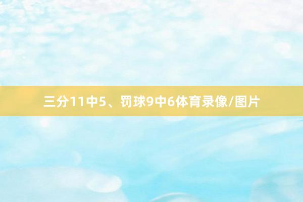 三分11中5、罚球9中6体育录像/图片