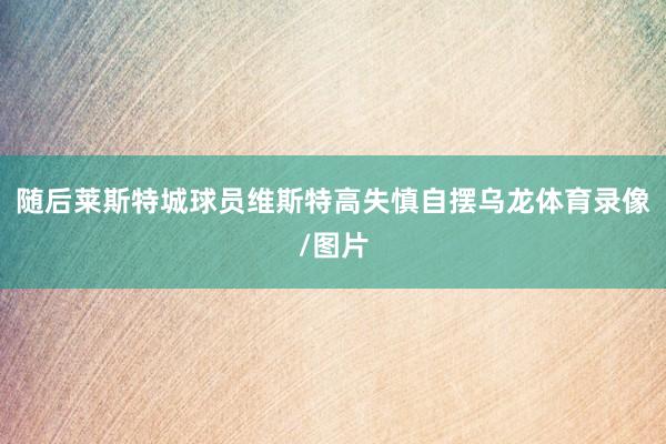 随后莱斯特城球员维斯特高失慎自摆乌龙体育录像/图片