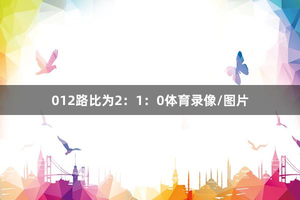 012路比为2：1：0体育录像/图片